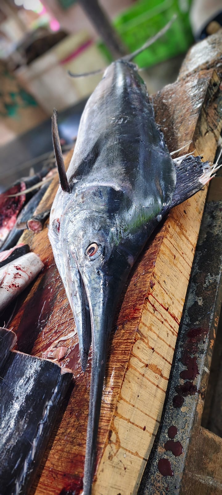 Whole Kola fish on a market cutting board