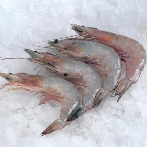 Prawns