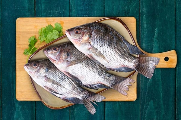 Whole Tilapia fish