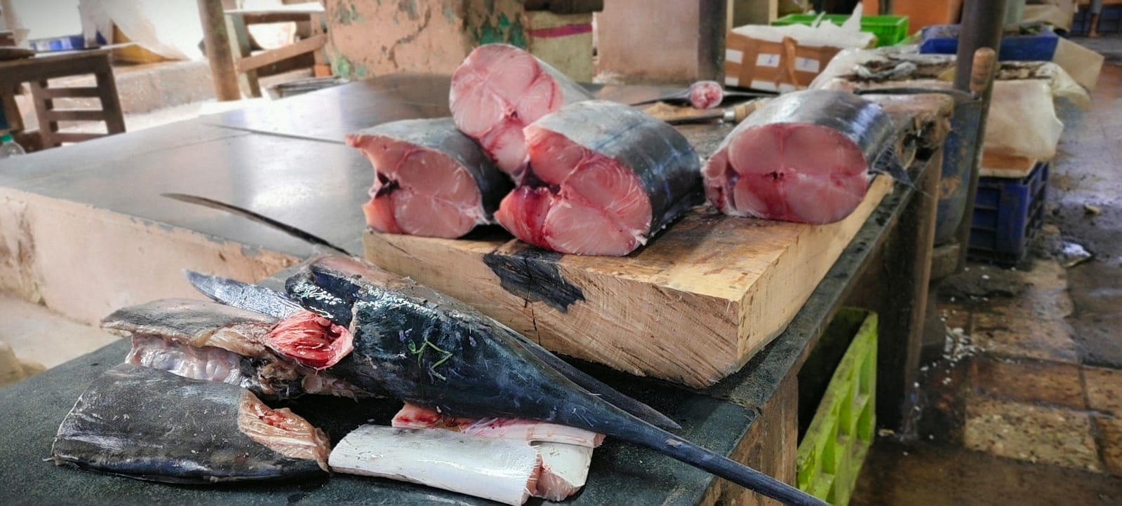Fresh Vanjaram fish cuts